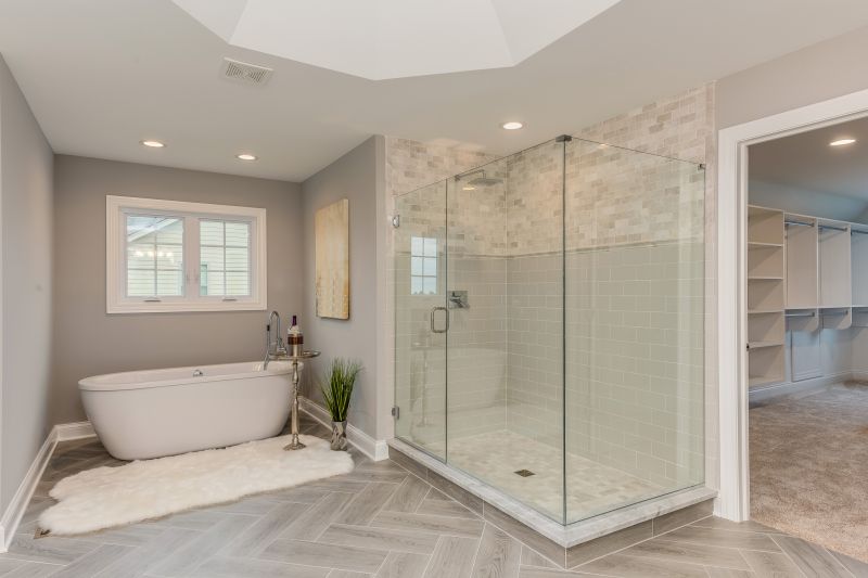 Modern Bathtub and Shower
